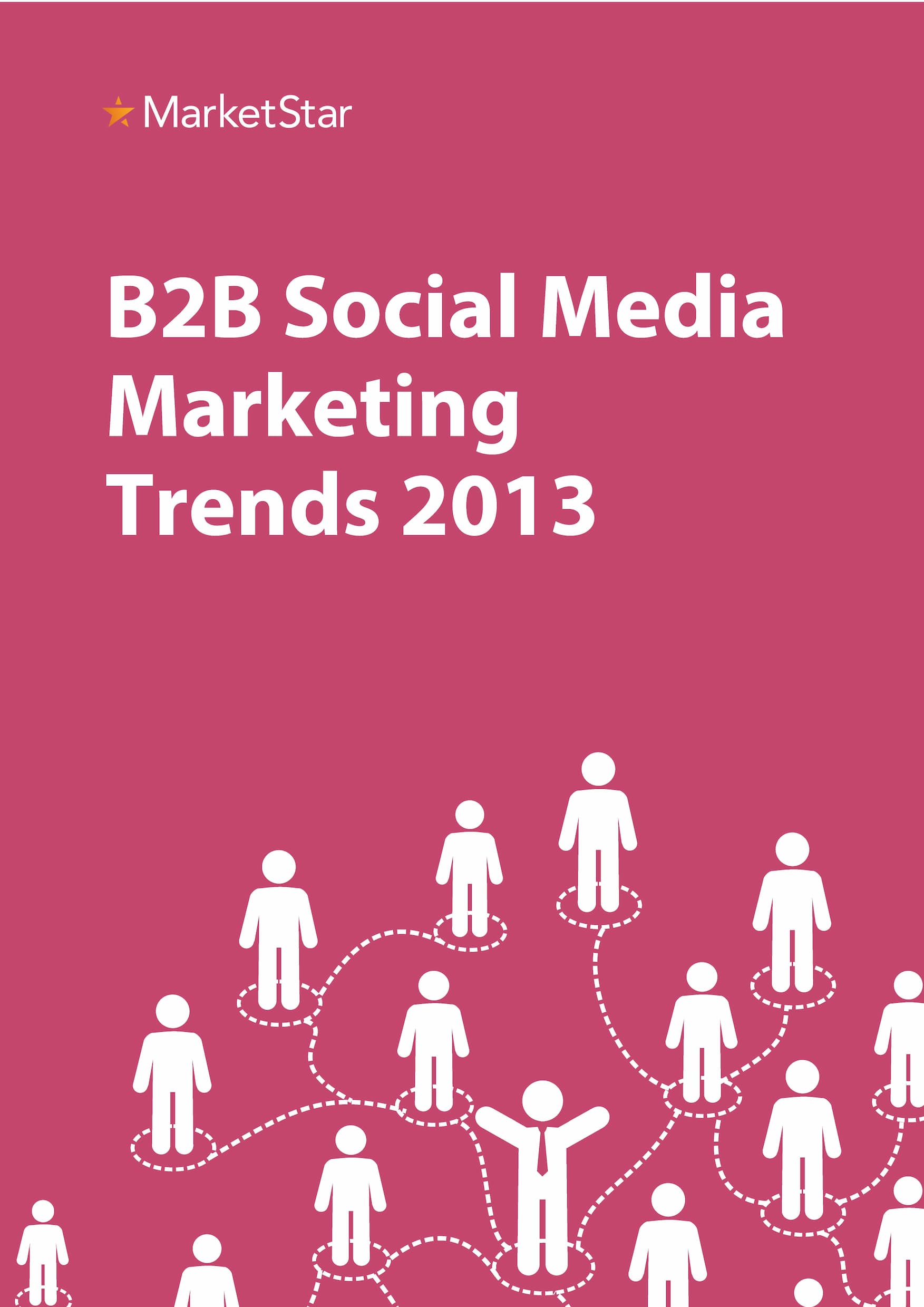 B2B Social Media Marketing Trends 2013